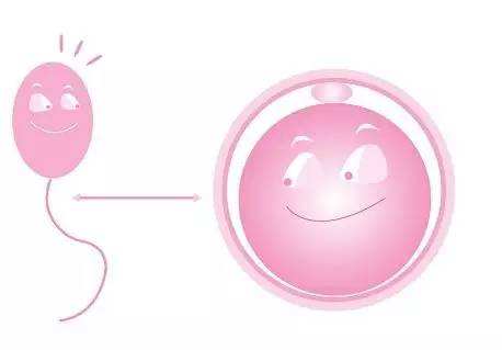 泰国试管婴儿卵泡监测