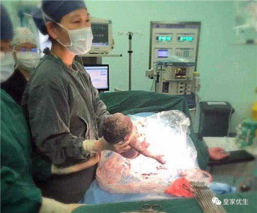 泰国试管婴儿着床,胚胎着床