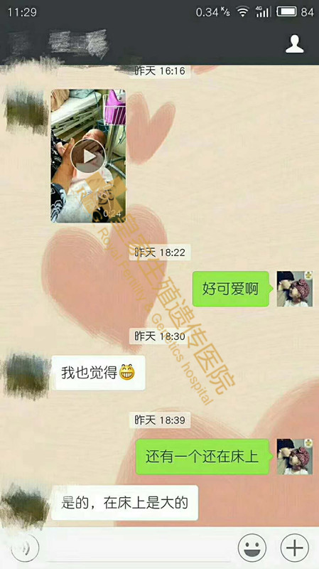 RFG试管婴儿