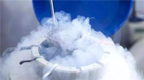 试管婴儿龙凤胎,泰国试管婴儿专家
