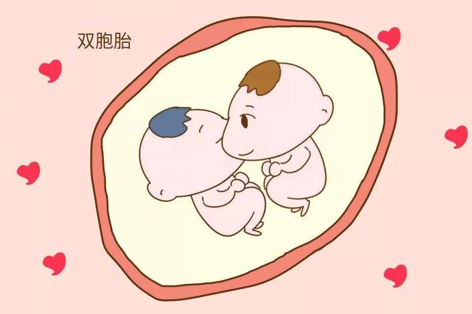 泰国试管婴儿双胞胎