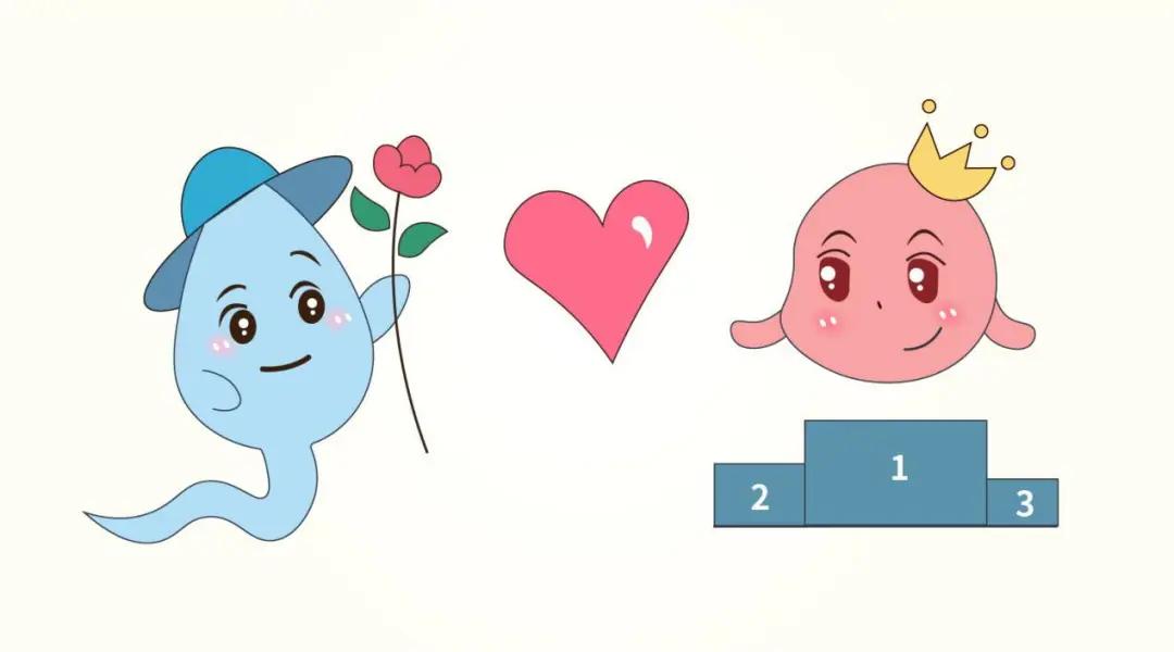 海外试管婴儿,海外试管婴儿成功率