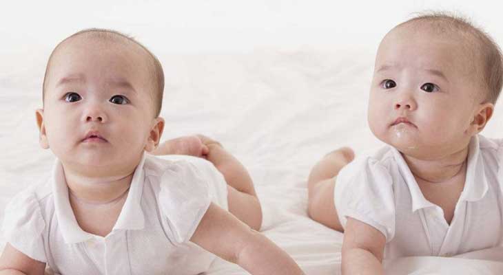 试管婴儿双胞胎,双胞胎概率