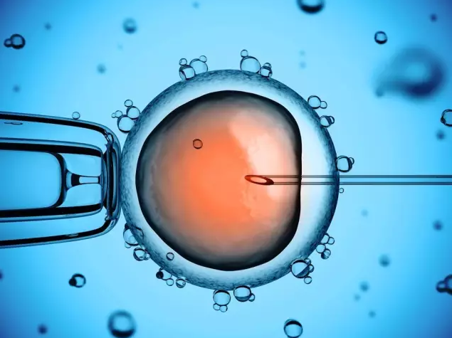 泰国三代试管,试管胚胎移植周期