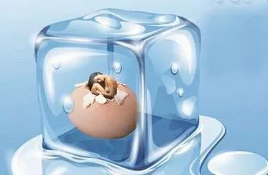 什么是冷冻卵子？冷冻卵子的过程是怎样的？
