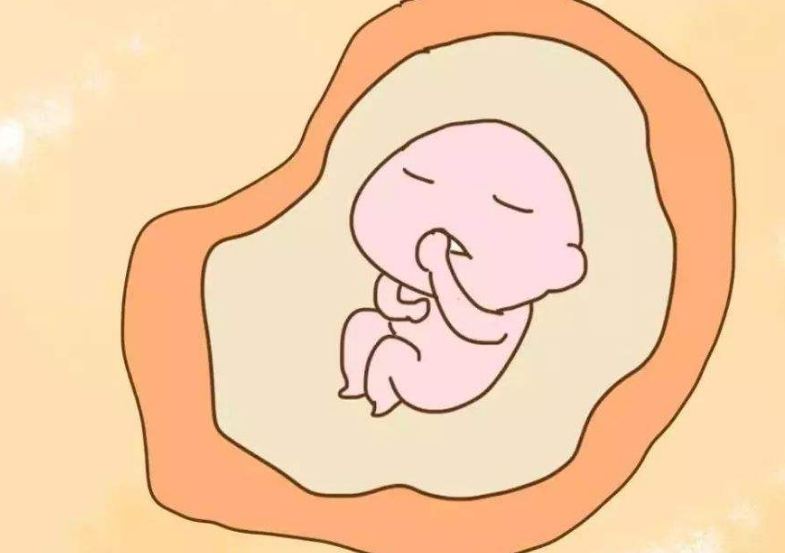 卵巢储备,试管婴儿准备