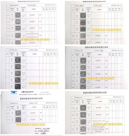 RFG好孕,RFG成功案例