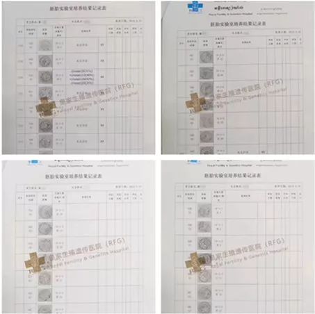 RFG好孕,RFG成功案例