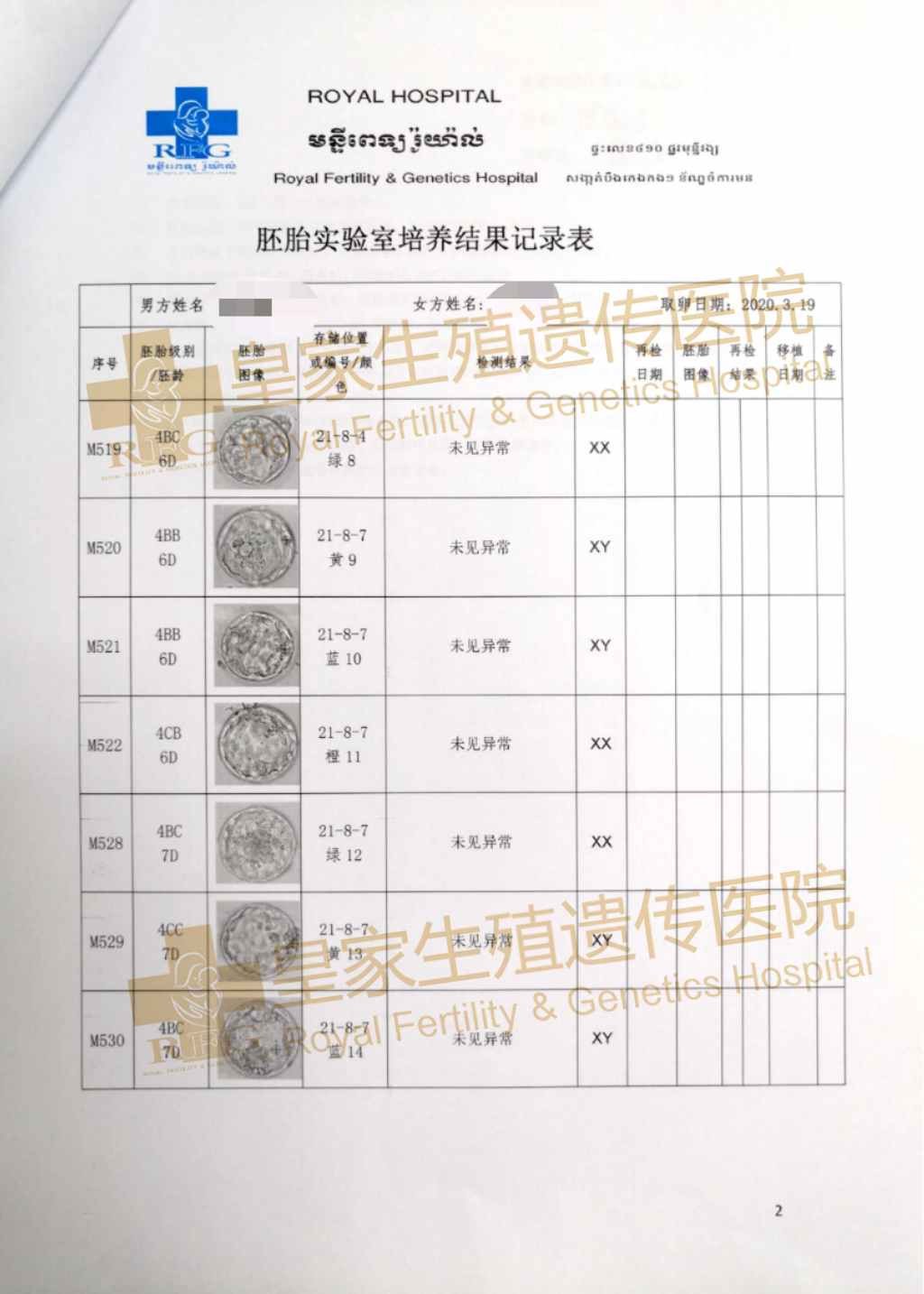 RFG泰国医院,泰国试管婴儿胚胎