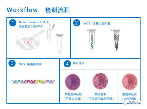 无创PGT试管婴儿,RFG曼谷医院