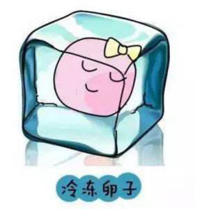 泰国试管婴儿