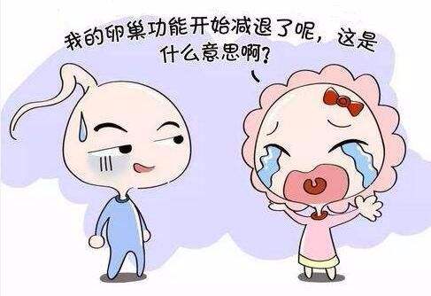 泰国试管婴儿卵泡取出,卵泡取出数量