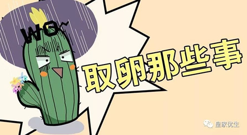 试管婴儿卵泡取出,卵泡取出注意事项