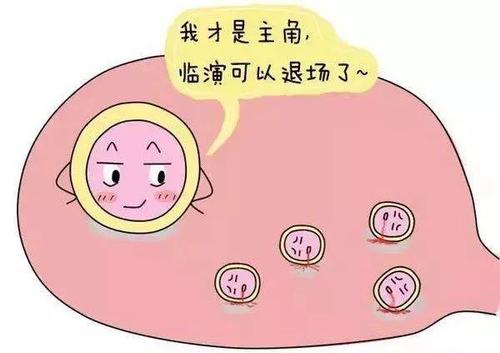 泰国试管婴儿卵泡取出,试管婴儿卵泡取出疼不疼