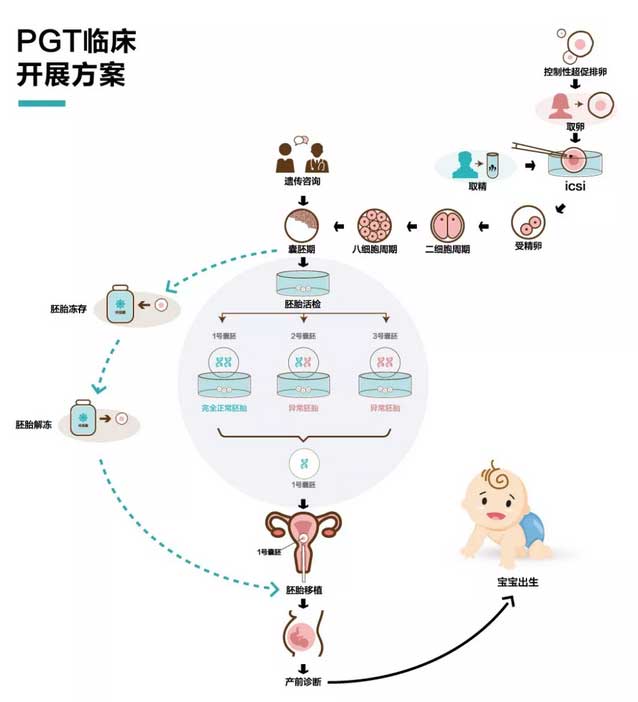 泰国三代试管技术,三代试管技术,三代试管阻隔地中海贫血症