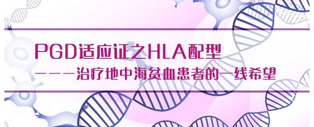 泰国三代试管技术,三代试管技术,三代试管阻隔地中海贫血症