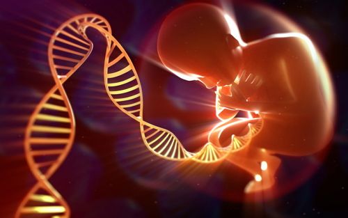 泰国RFG医院：为什么做三代试管婴儿前要治好多囊卵巢综合症？