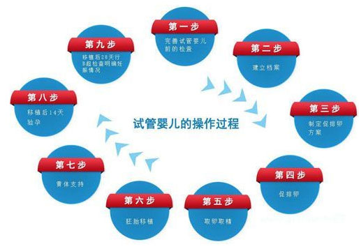 第二代试管婴儿手术流程图