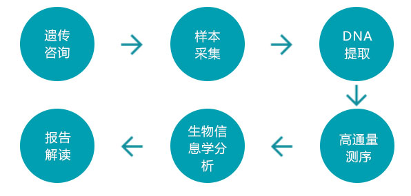 RFG泰国皇家医院孕前遗传病基因检测流程