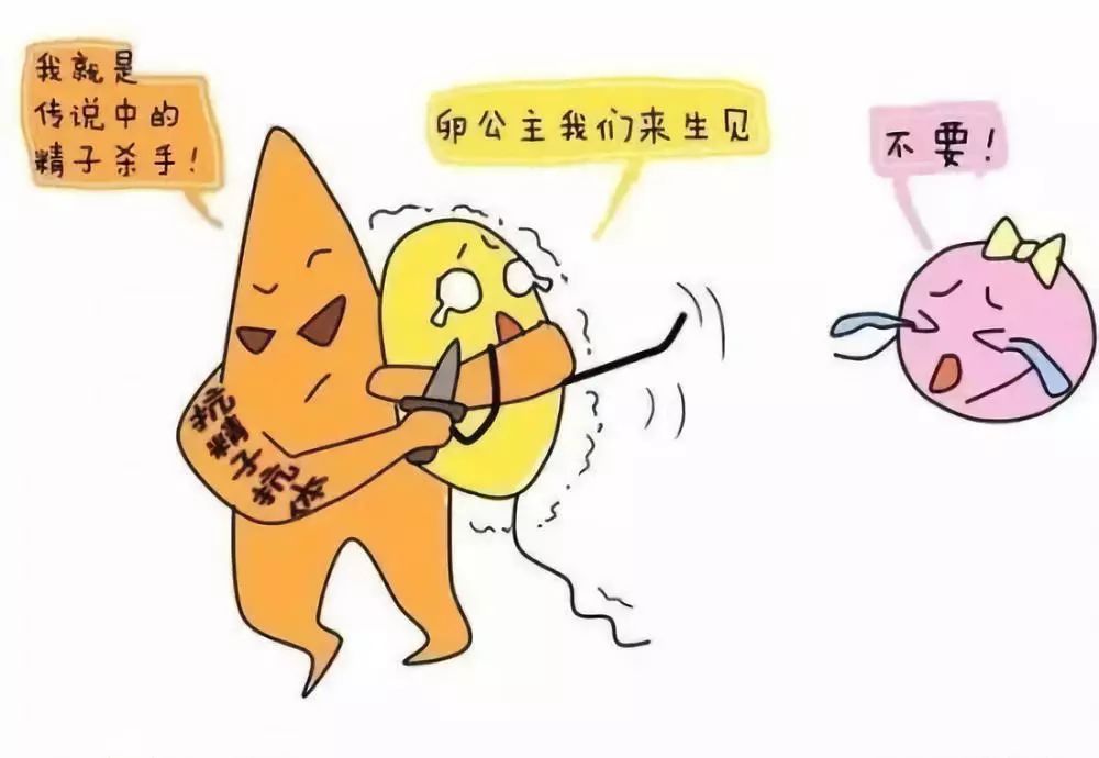 第三代试管婴儿技术,抗精子抗体