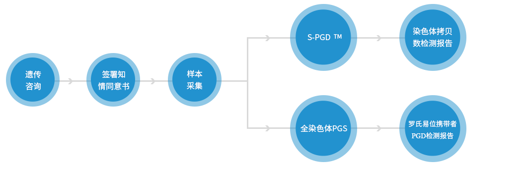 罗氏易位PGD检测流程