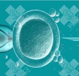 上海海军特色医学中心做试管婴儿实力怎么样？