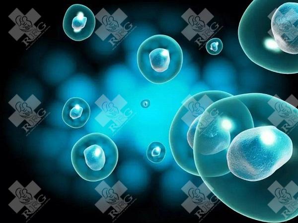 严重弱精症做试管婴儿成功率高不高