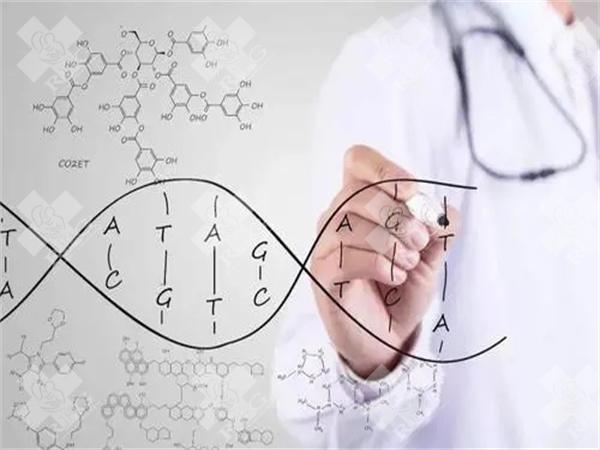 自带黄体酮食物有哪些?