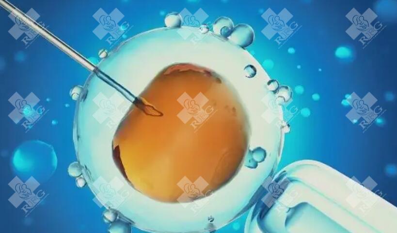 3天10细胞一级胚胎的潜力大吗？