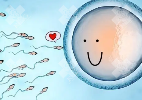 子宫肌瘤患者还能怀孕吗？