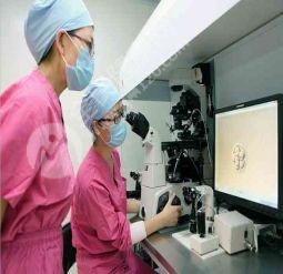 海口有哪些优秀的试管婴儿医生呢?