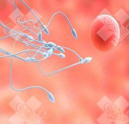 三美泰医院综合医院试管婴儿流程有哪些步骤?