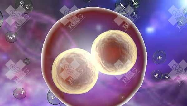 患有子宫纵膈能否怀孕？