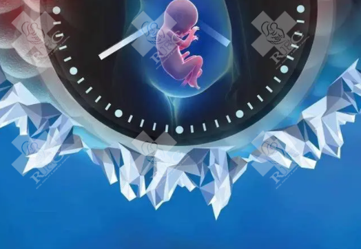 xy孕囊和xx孕囊有什么不同?