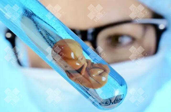 试管移植三天的鲜胚成功率有多少?