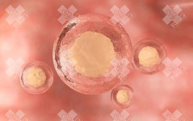 试管移植前转换内膜8.6是什么标准?