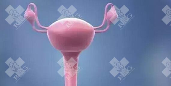 高雄激素多囊试管移植4aa囊胚成功率高吗？