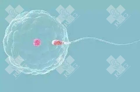 多囊卵巢综合症试管前如何提高卵泡数量？