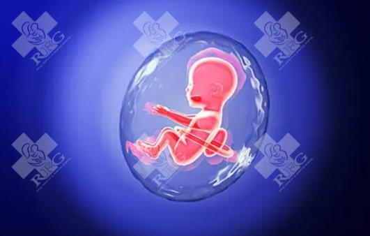 子宫发育畸形去泰国做试管流程是什么？