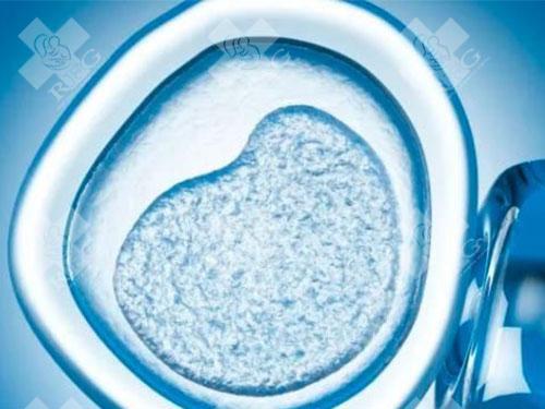 卵泡质量不佳的试管婴儿会有哪些可能的后果？