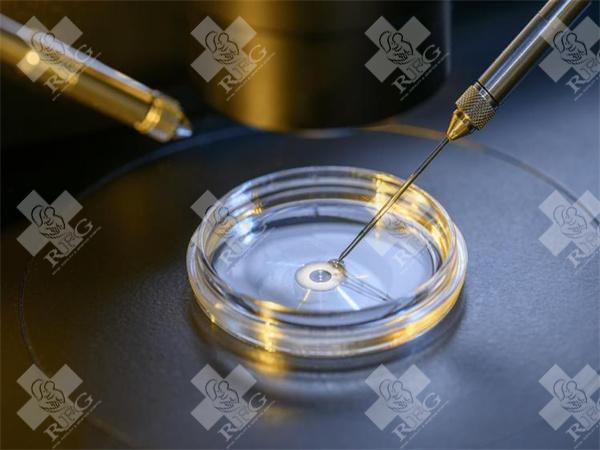 造成促卵泡生成激素偏低或偏高原因是什么？