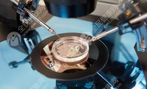 精子染色体检查要花多少钱?哪些情况要做精子染色体检查呢?