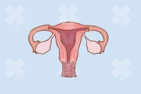 女性没有子宫就不能生育吗？