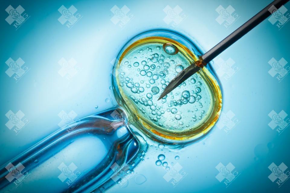 试管婴儿技术是一种辅助生殖技术，可以帮助那些无法自然受孕的夫妇实现生育愿望。随着科技的进步和医疗水平的提高，越来越多的夫妇选择试管婴儿来解决不孕不育问题。本文将为大家介绍潮州地区的试管婴儿医院大全，并重点介绍了2023年三代试管的费用与成功率排名。