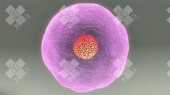 漳州长泰区哪里可以做试管婴儿