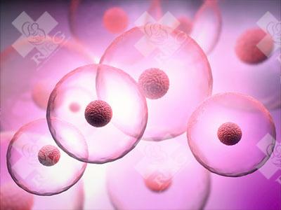 三代试管的基因筛查技术有哪些？