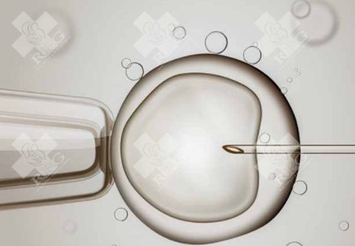 嘉兴海盐县哪个医院做试管婴儿