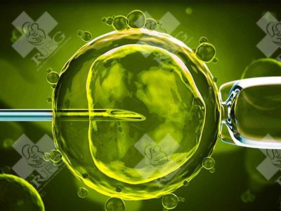 试管婴儿详细流程都有哪些步骤?