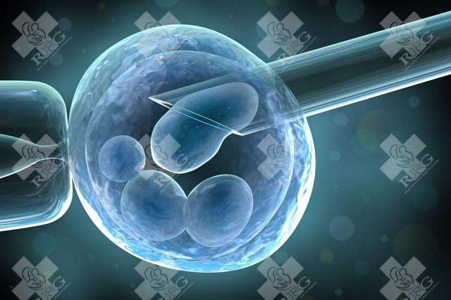 泰国是亚洲最大的试管婴儿医疗中心之一,其试管婴儿成功率比世界其他地区都要高。这是因为泰国在医疗技术、设备和专业知识方面不断投资和更新。此外泰国的医疗费用相对较低,也吸引了越来越多的海外患者前来治疗。