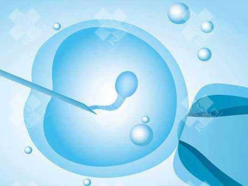 泰国人工授精需要多少天?